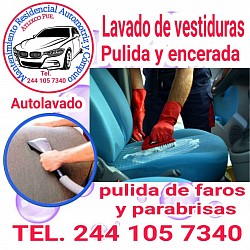 lavado de vestiduras de auto